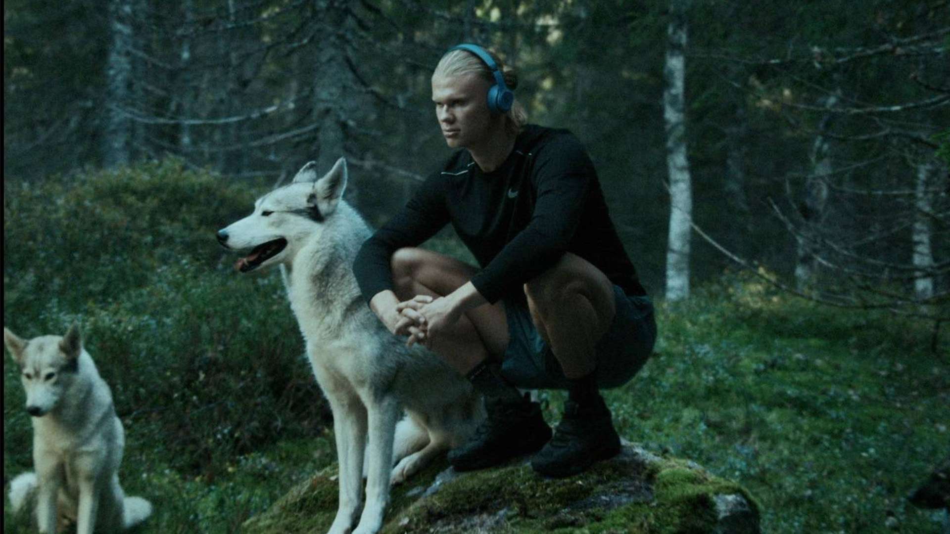 这次被称为 这次被称为